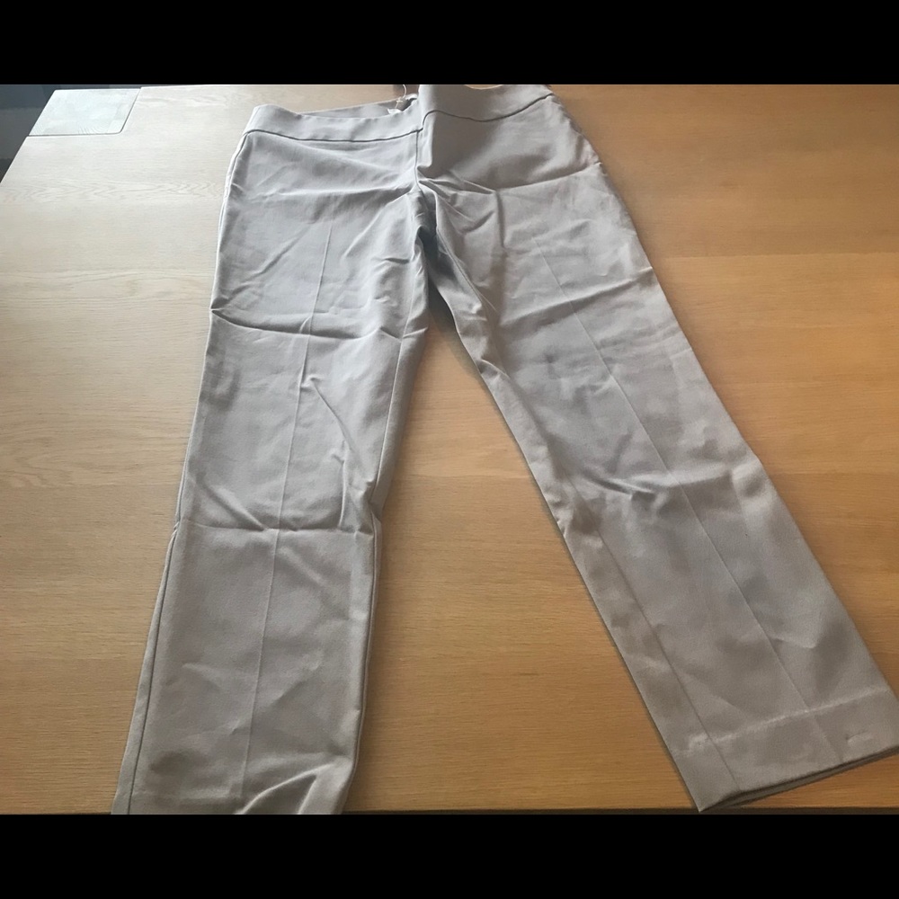 Loft Zoe Ankle Pants